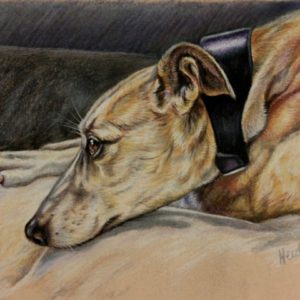 Pastel Greyhound (Small)