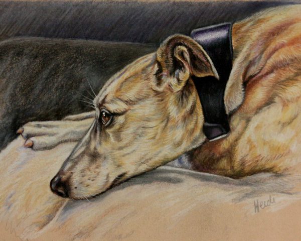 Pastel Greyhound (Small)